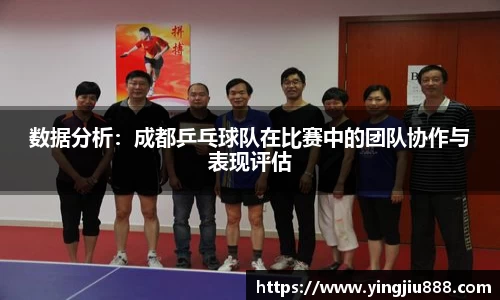 数据分析：成都乒乓球队在比赛中的团队协作与表现评估